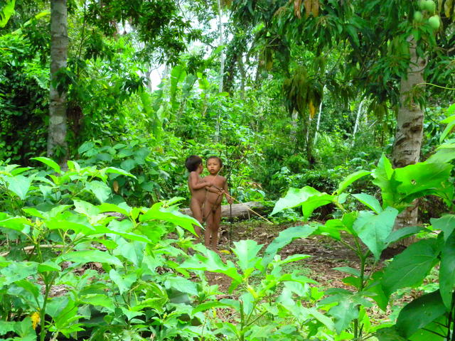 Crianças brincando de jogar flecha nos arredores da casa coletiva, na aldeia Watoriki, Terra Indígena Yanomami (AM). Ana Maria A. Machado